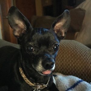 Meet your Posher, Kathy